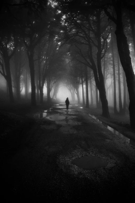 a person walking down a road in the fog, inspired by Kati Horna, ((dark fantasy)), daily deviation on deviantart, lonely and sad, nightmare in the park