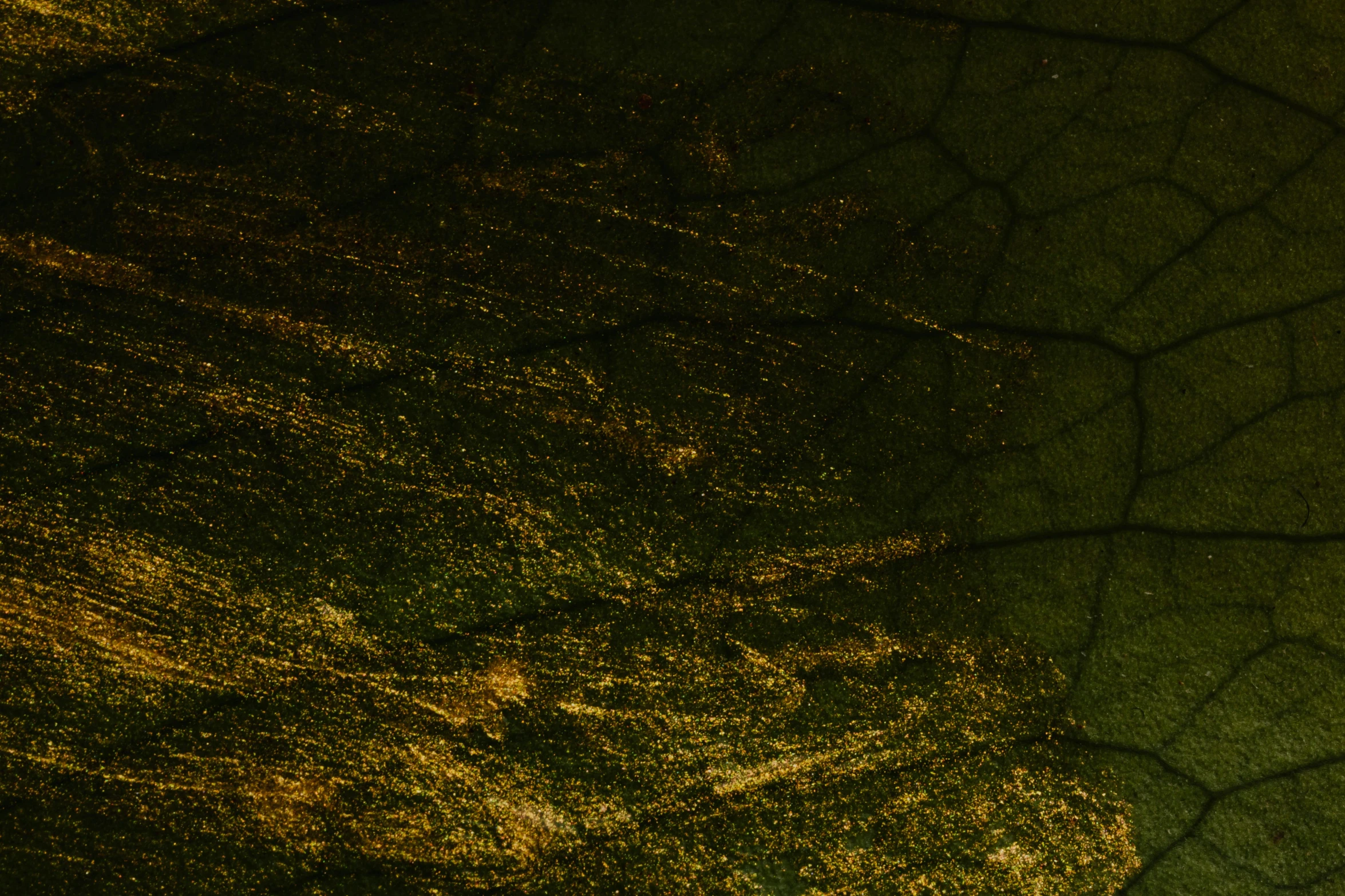 a red fire hydrant sitting on top of a lush green field, an album cover, inspired by Attila Meszlenyi, pexels contest winner, lyrical abstraction, gold leaf texture, aerial photo night vision, black marble and gold, background image