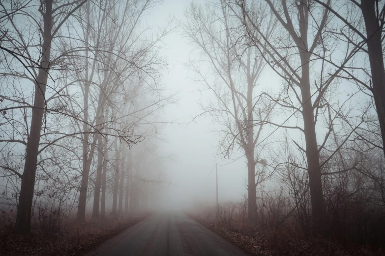 a road surrounded by trees on a foggy day, inspired by Elsa Bleda, pexels contest winner, romanticism, rusted silent hill, grey, southern gothic, instagram picture