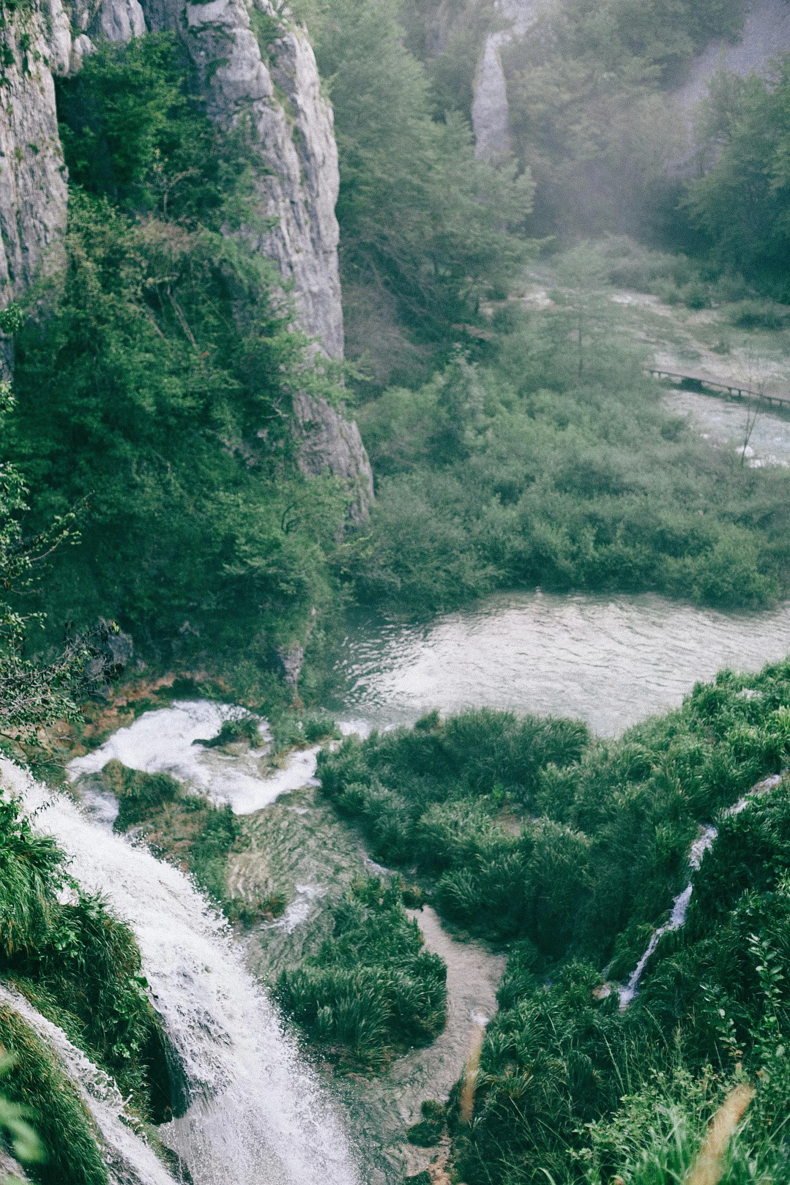 a train traveling through a lush green forest, trending on unsplash, cave with waterfall, karst landscape ; wide shot, down there, near a small lake