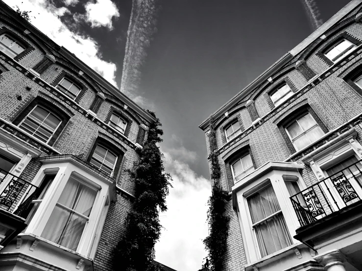 a couple of tall buildings sitting next to each other, a black and white photo, unsplash, surrealism, victorian london, ivy vines, white houses, upsidedown