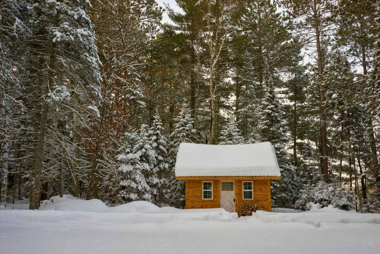 a small cabin in the middle of a snowy forest, by Jessie Algie, pexels contest winner, new hampshire, maintenance photo, pine, exterior photo