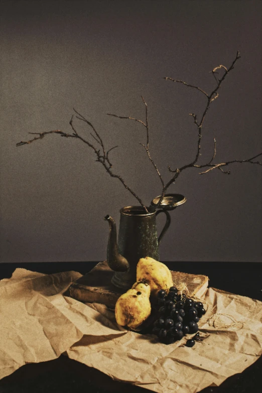 a vase sitting on top of a table next to a bunch of fruit, inspired by Hendrik Gerritsz Pot, unsplash, realism, dried vines, black and yellow color scheme, branches and twigs, pears