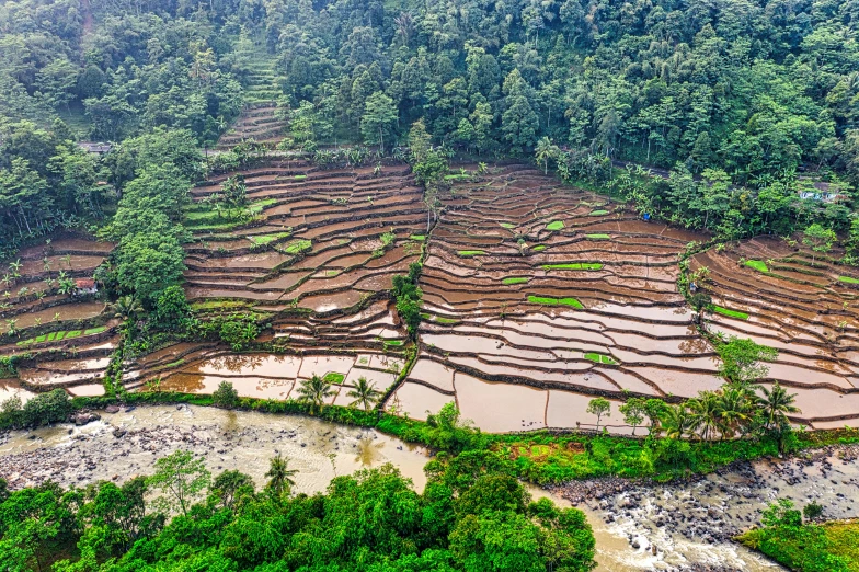 an aerial view of rice terraces in the mountains, sumatraism, album photo, thumbnail, introspective meandering, hdr photo
