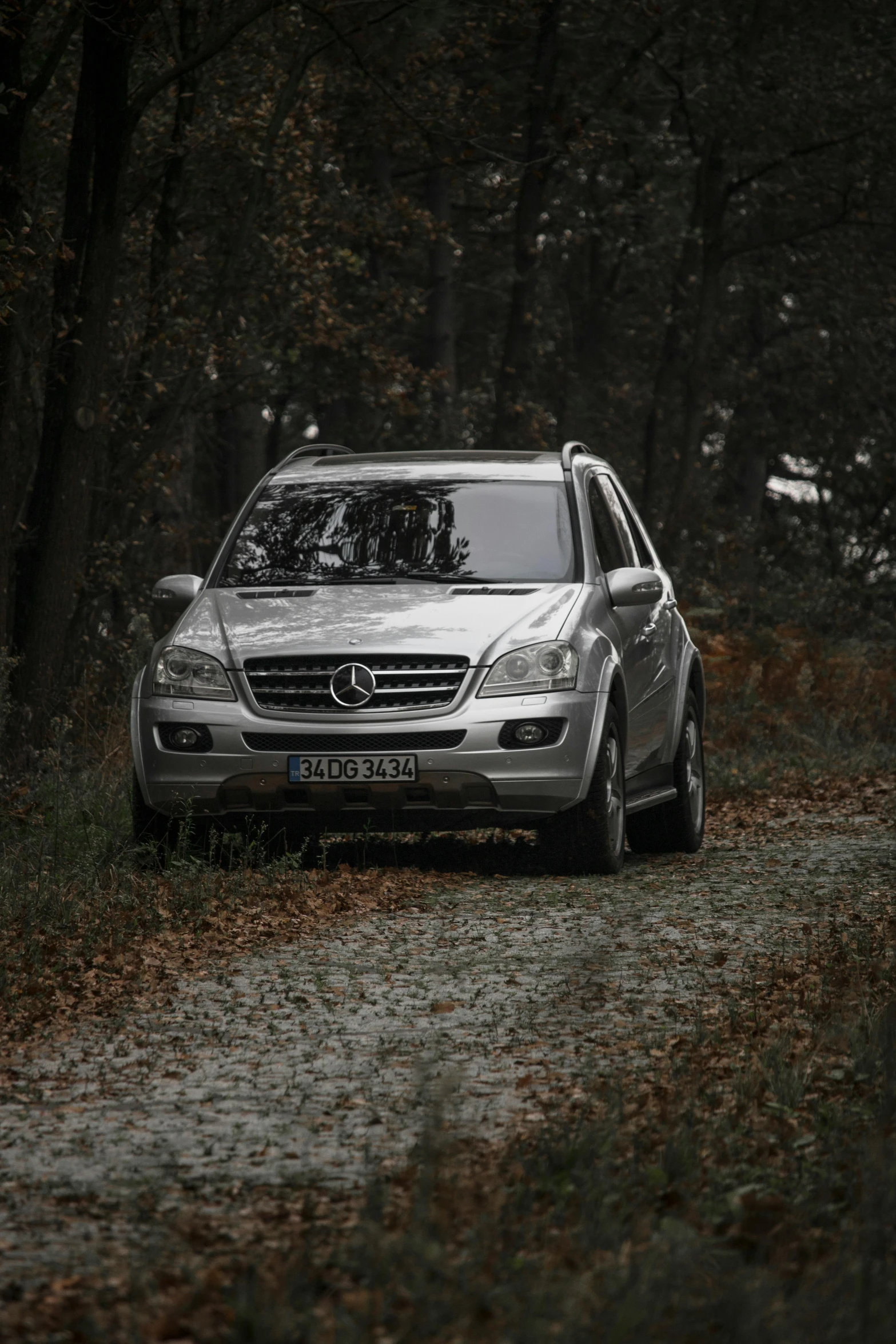 a car driving down a dirt road in the woods, mercedez benz, grey and silver, medium, outdoor