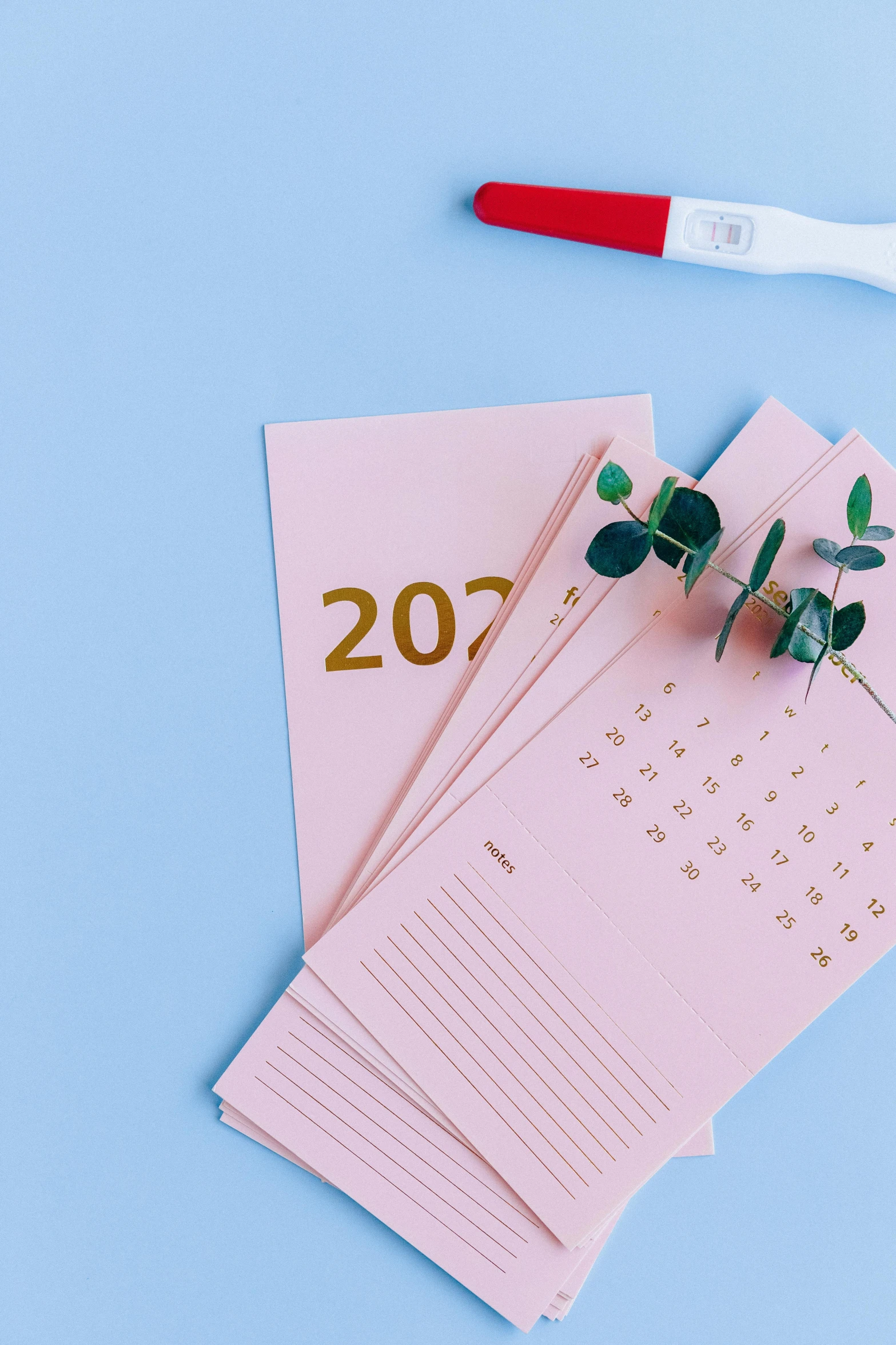 a pink calendar sitting on top of a table next to a pair of scissors, by Julia Pishtar, trending on unsplash, half image, colorful bottles and plants, new years eve, thumbnail