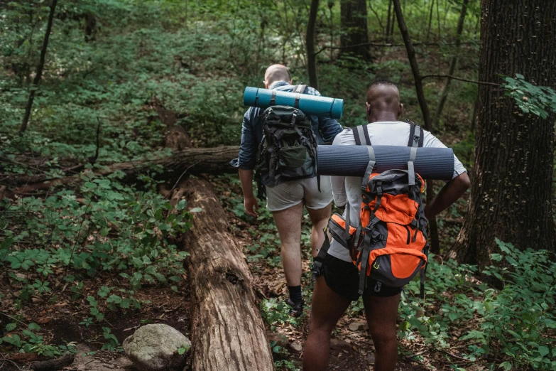 a couple of people that are walking in the woods, pexels contest winner, renaissance, carrying survival gear, sweaty mountain, long shot from back, thumbnail