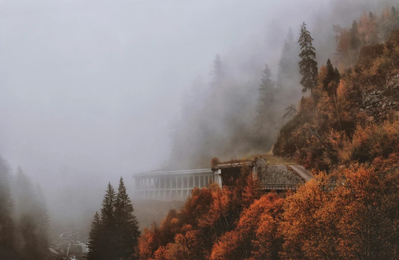 a train traveling through a forest on a foggy day, by Emma Andijewska, pexels contest winner, romanticism, alpine architecture, gray and orange colours, bridge, covered in clouds