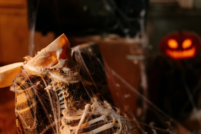 a close up of a pair of shoes covered in spider webs, a portrait, unsplash, vanitas, exposed bones, brown, mummy, halloween night