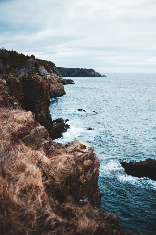 a man standing on top of a cliff next to the ocean, by Kristin Nelson, unsplash, les nabis, rocky grass field, low quality photo, brown, hestiasula head