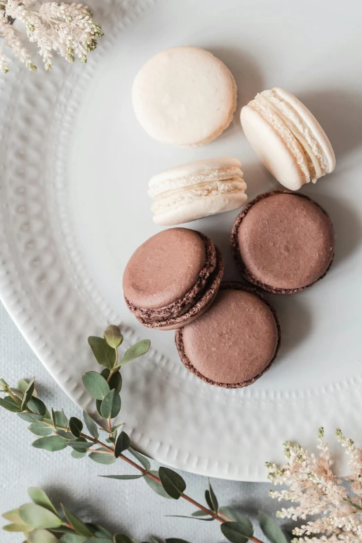 a white plate topped with macarons on top of a table, inspired by Rudolf von Alt, unsplash, muted brown, fuji choco, 3 - piece, frosted