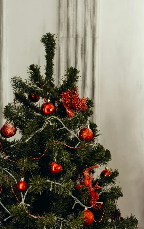 a small christmas tree in the corner of a room, inspired by Ernest William Christmas, pexels, baroque, red and grey only, detail, celebration, square
