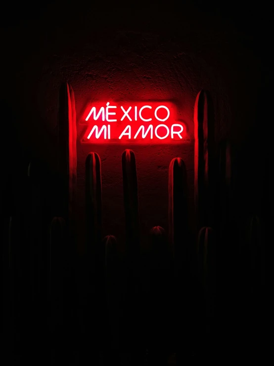 a neon sign is lit up in the dark, an album cover, by Briana Mora, pexels contest winner, mexico, red atmosphere, they are in love, maher morcos