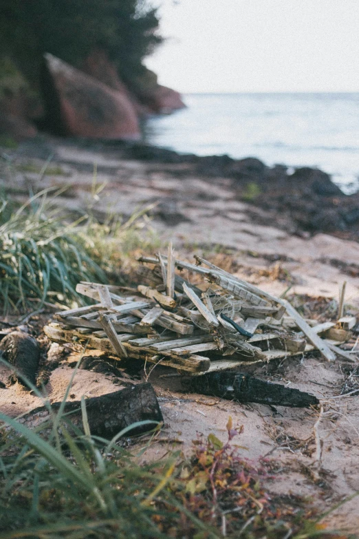 a bottle of beer sitting on top of a sandy beach, a picture, unsplash, land art, debris chips ruins, tiny sticks, plume made of seaweed, australian