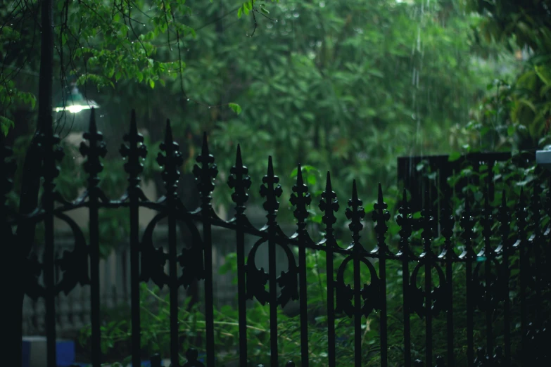 a close up of a metal fence with trees in the background, by Elsa Bleda, pexels contest winner, gothic art, calcutta, it\'s raining, green and black color scheme, exterior shot