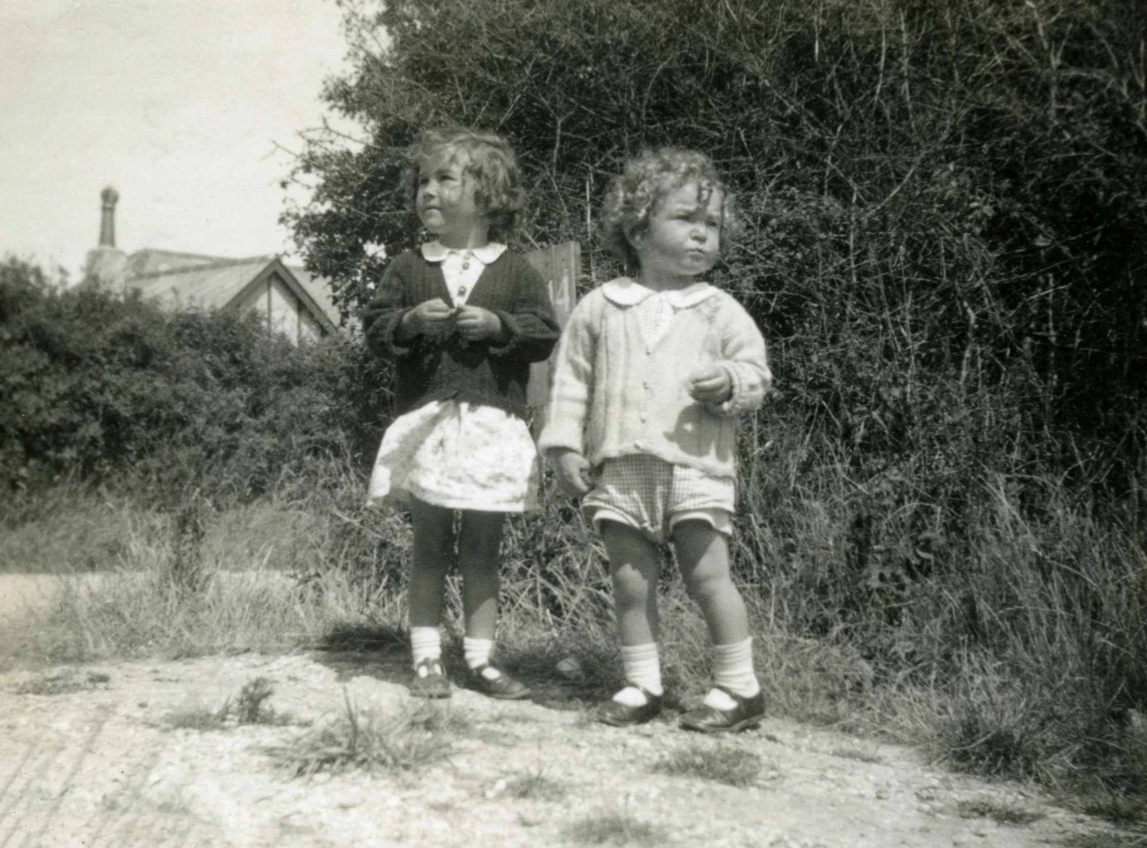 a black and white photo of two children, by Phyllis Ginger, standing on a hill, with soft bushes, looking left, joyce ballantyne