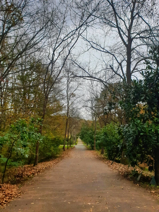 a red fire hydrant sitting on the side of a road, a photo, inspired by Thomas Struth, realism, beautiful ancient garden behind, panorama, seasons!! : 🌸 ☀ 🍂 ❄, as seen from the canopy