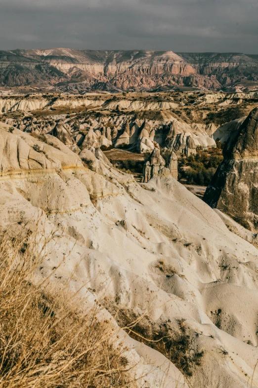 a man standing on top of a hill next to tall grass, a matte painting, inspired by Elsa Bleda, trending on unsplash, white travertine terraces, turkey, geological strata, majestic spires