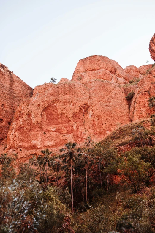 a man riding a skateboard on top of a lush green hillside, a cave painting, les nabis, red sandstone natural sculptures, cabbage trees, pink, palm springs