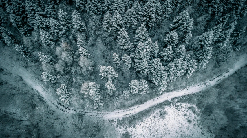 an aerial view of a road in the middle of a forest, a photo, by Adam Marczyński, frost on the canvas, thumbnail, holiday season, dark and white