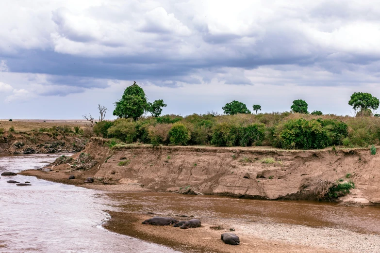 a herd of elephants walking across a river, unsplash, hurufiyya, erosion channels river, seen from a distance, masai, thumbnail