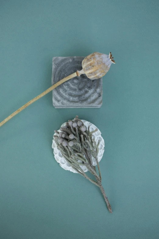 a bunch of dried flowers sitting on top of a table, inspired by Li Di, concrete art, carved soap, artichoke, on textured disc base, grey and silver