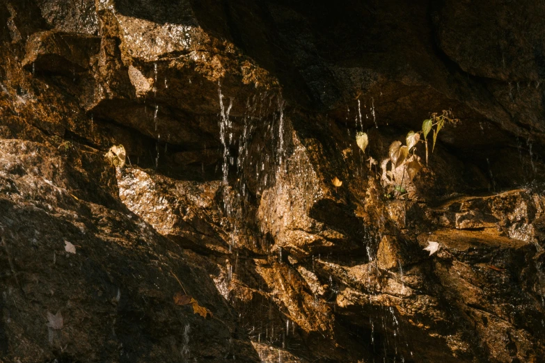 a bird sitting on top of a rock next to a waterfall, an album cover, inspired by Elsa Bleda, unsplash contest winner, australian tonalism, plants inside cave, sparkling in the sunlight, view from below, thumbnail