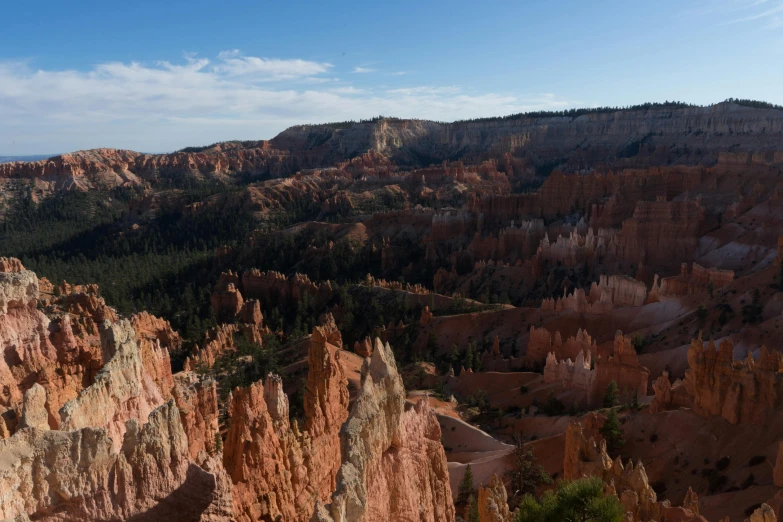 a man standing on top of a cliff next to a forest, by David Simpson, unsplash contest winner, chiseled formations, square, bryce 3 d, panoramic view