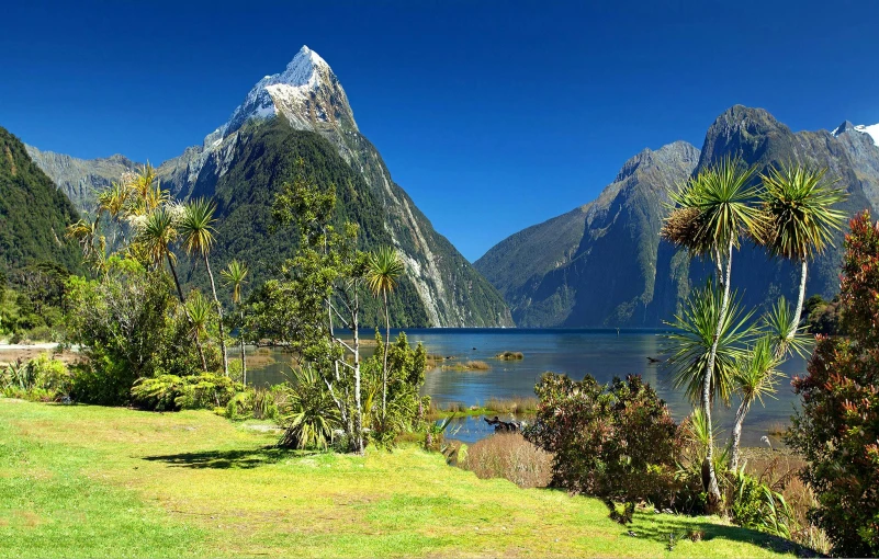 a scenic view of a lake with mountains in the background, by Peter Churcher, pexels contest winner, hurufiyya, cabbage trees, pyramid surrounded with greenery, maori, glaciers