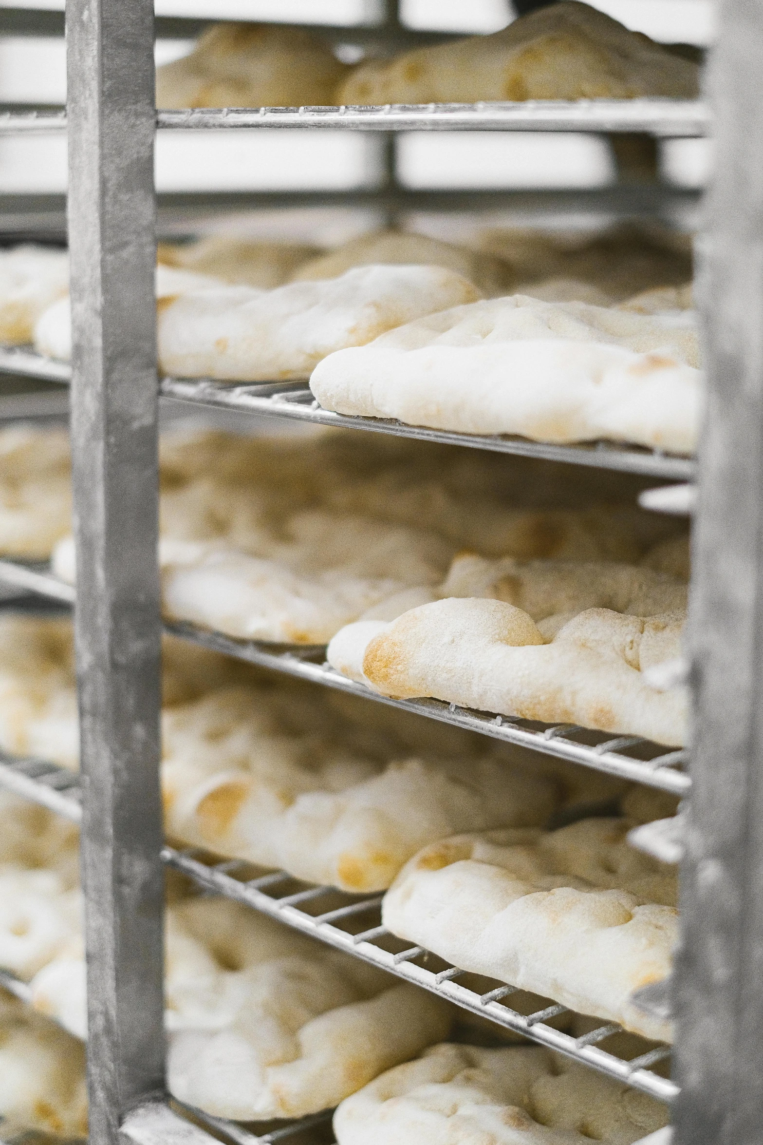 a bunch of doughnuts that are on a rack, inspired by Normand Baker, covered in white flour, refrigerated storage facility, cheeses, upclose