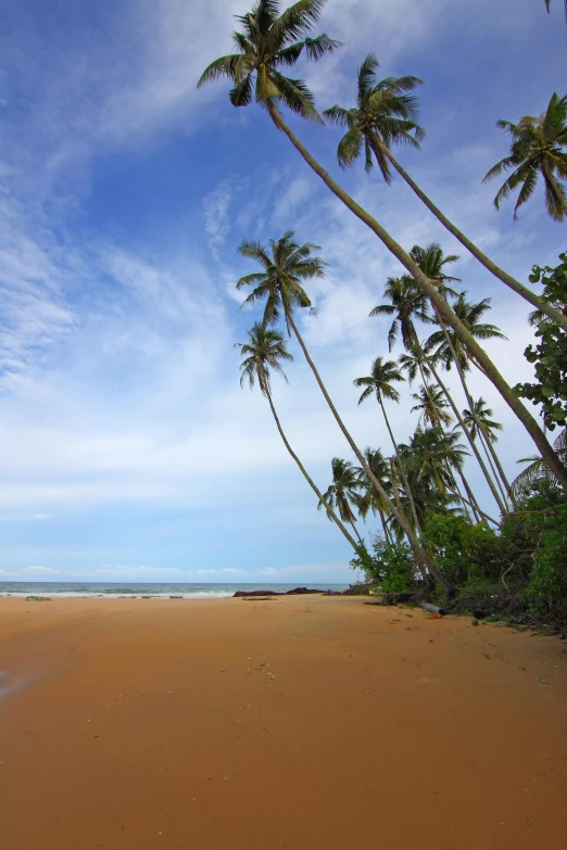 a sandy beach with palm trees on a sunny day, hurufiyya, very elegant & complex, around 20 yo, secluded, mix