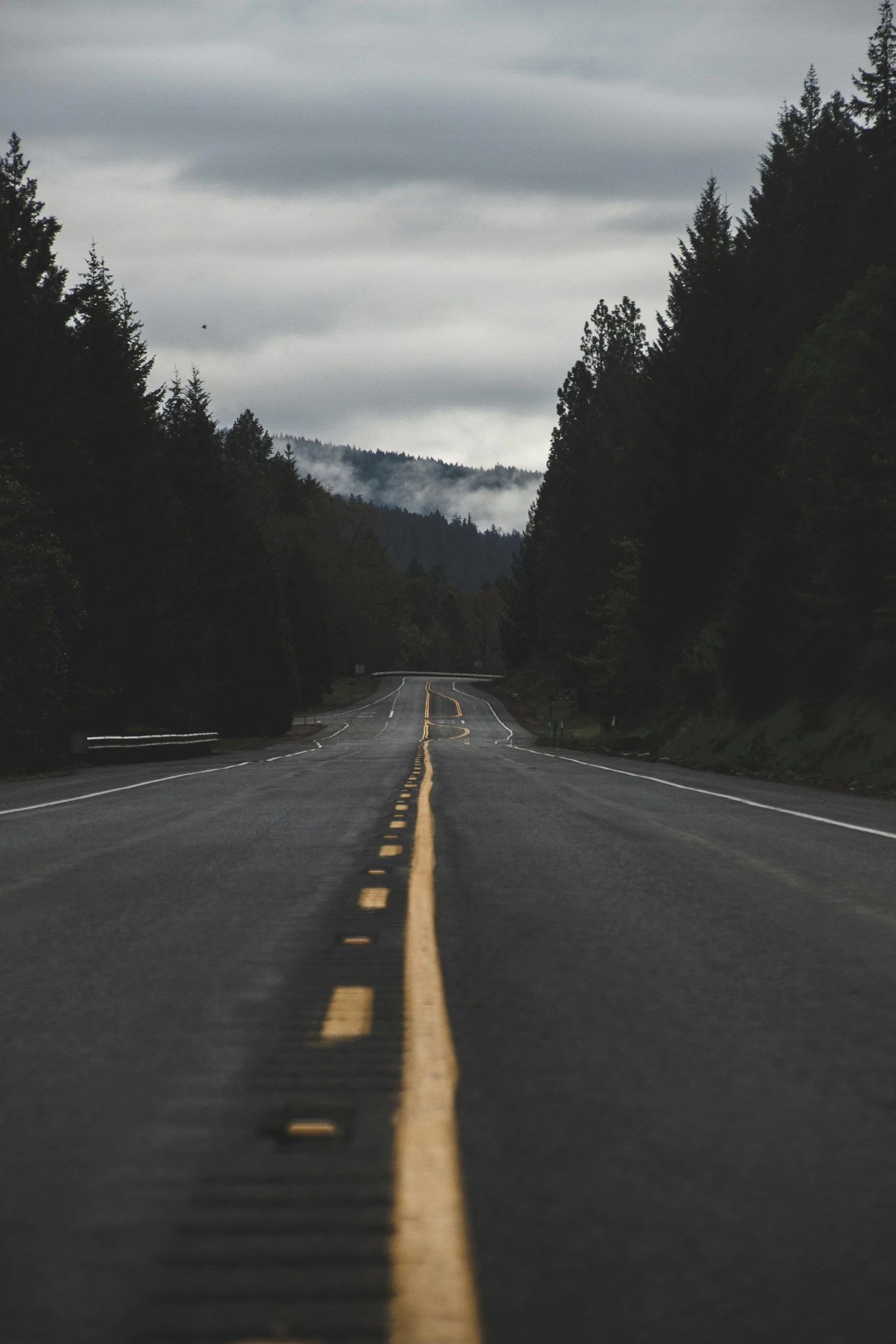 an empty road in the middle of a forest, gray skies, twin peaks style, unsplash photography, asphalt and metal