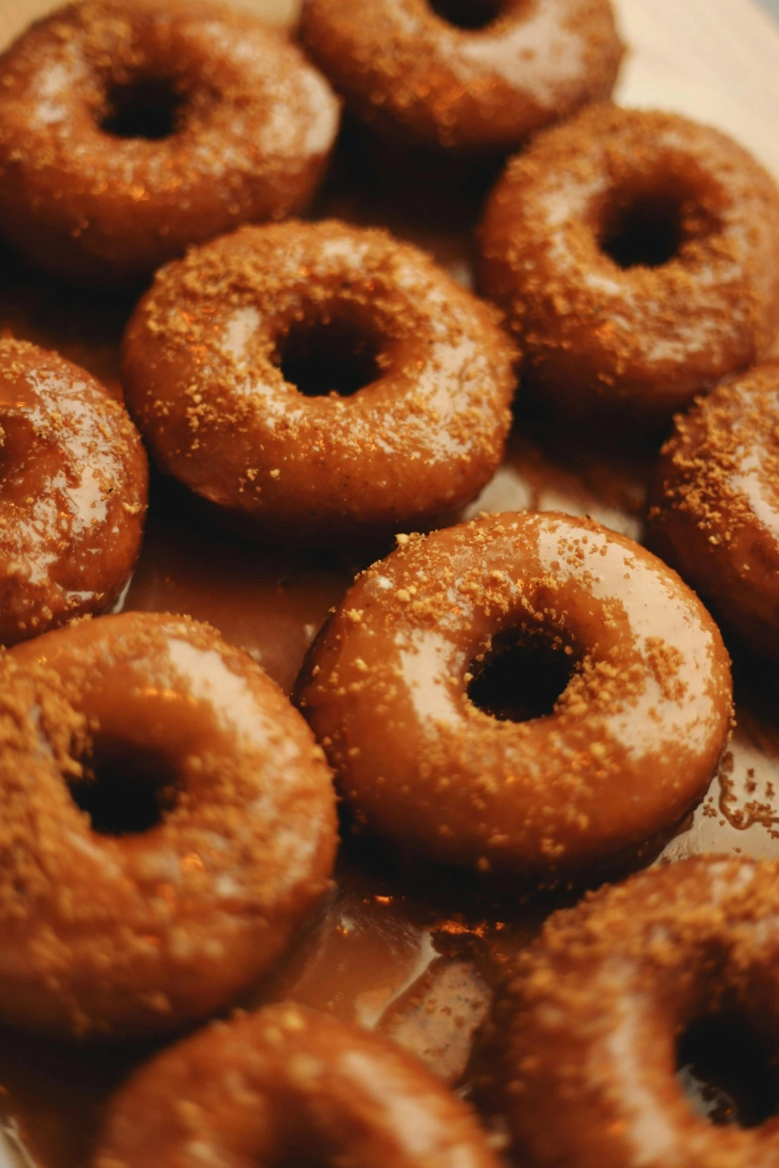 a close up of a plate of doughnuts on a table, brown mud, cinnamon skin color, demon days, ignant