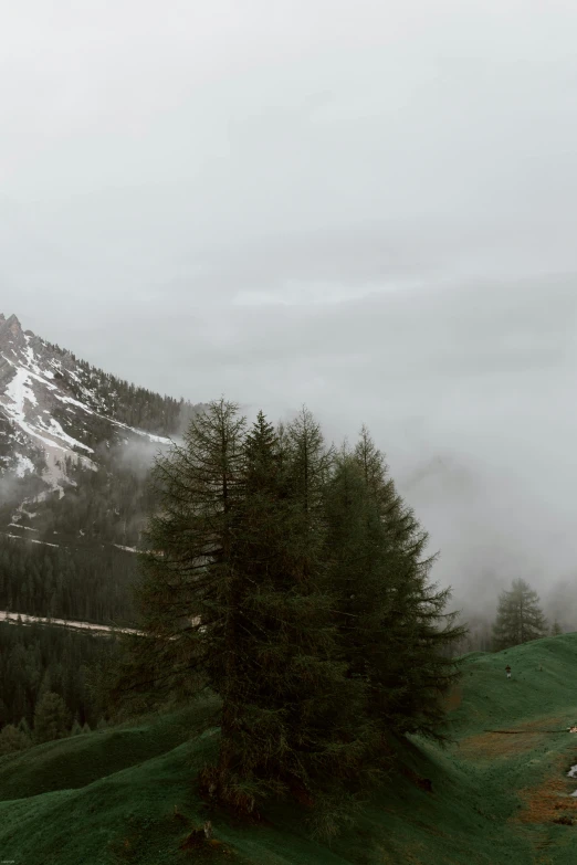 a snow covered mountain with trees in the foreground, by Alessandro Allori, pexels contest winner, renaissance, foggy day outside, panoramic widescreen view, overcast gray skies, downhill landscape