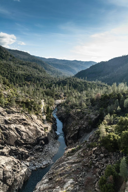 a river flowing through a lush green valley, giant sequoia, large cracks, 2019 trending photo, 2 5 6 x 2 5 6 pixels