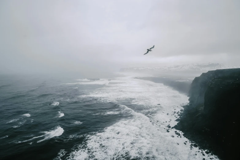 a bird flying over a body of water, by Jesper Knudsen, pexels contest winner, raging sea foggy, high cliff, low quality photo, large creatures in distance