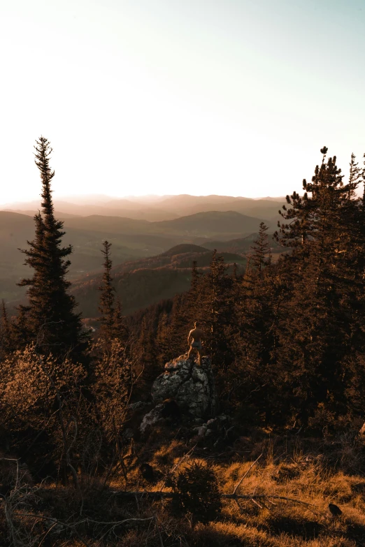 a couple of people standing on top of a mountain, unsplash contest winner, tonalism, spruce trees on the sides, sunset panorama, low quality photo, autumn light