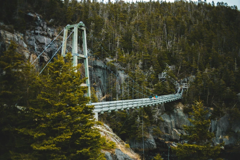 a suspension bridge in the middle of a forest, pexels contest winner, new hampshire mountain, 2 5 6 x 2 5 6 pixels, coastal, exterior shot