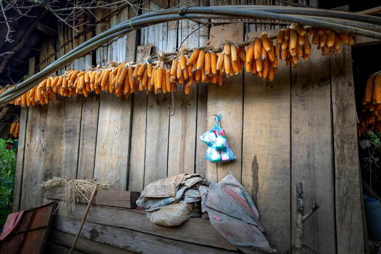 a bunch of bananas hanging from the side of a building, by Jan Tengnagel, unsplash, inside primitive hut, carrots, bread, textiles