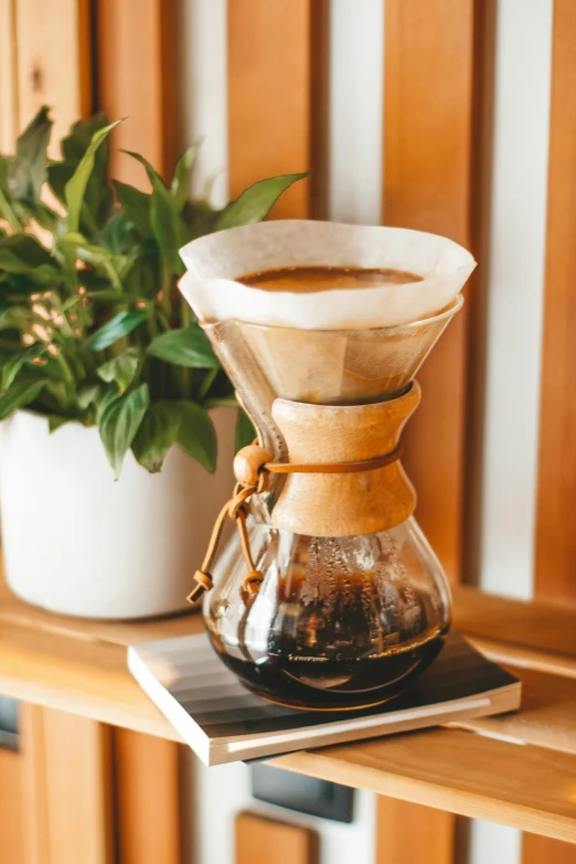 a coffee maker sitting on top of a wooden shelf next to a potted plant, a portrait, by Julia Pishtar, trending on unsplash, made of glazed, parchment, hourglass, soft warm light