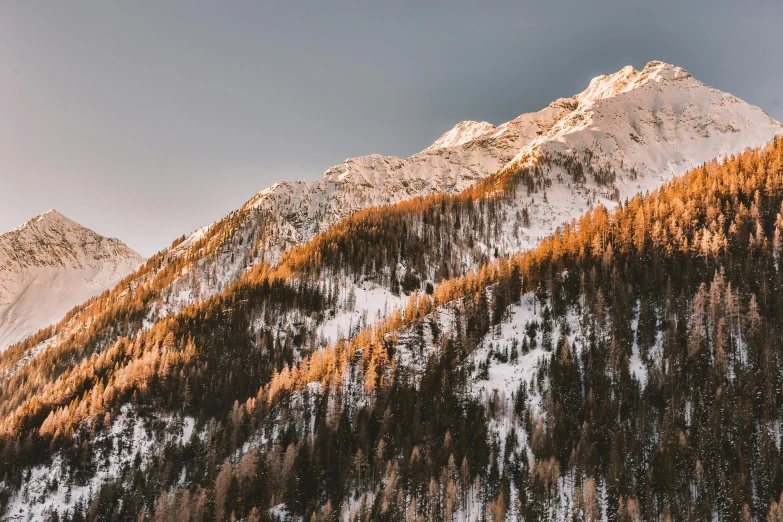 a group of people riding skis down a snow covered slope, a picture, by Matthias Weischer, unsplash contest winner, detailed trees and cliffs, bathed in golden light, gray and orange colours, evening lighting