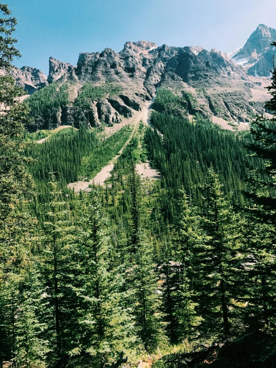 a forest filled with lots of green trees, a picture, inspired by Thomas Struth, trending on unsplash, banff national park, 🎀 🧟 🍓 🧚, majestic spires, high view