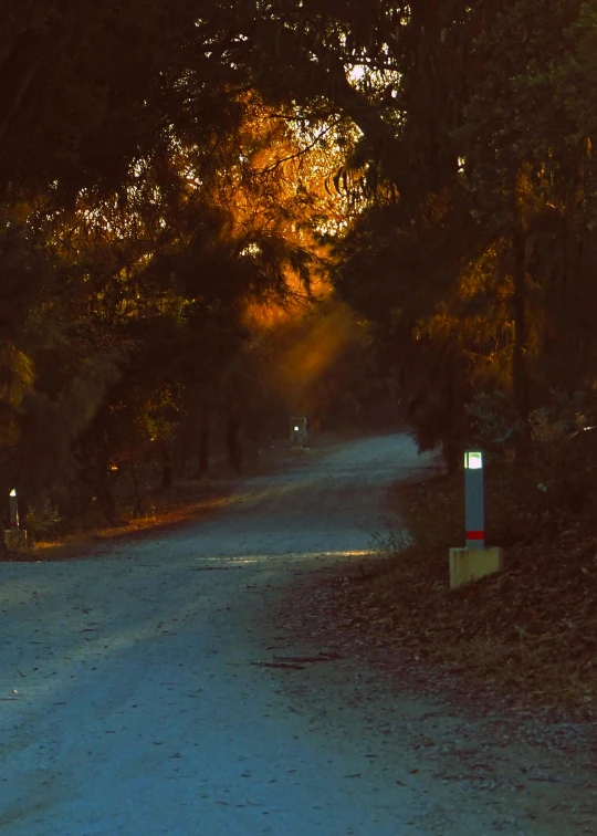 a red fire hydrant sitting on the side of a road, a picture, by Eglon van der Neer, australian tonalism, tree-lined path at sunset, golden hour 4k, lantern light besides, soft light - n 9