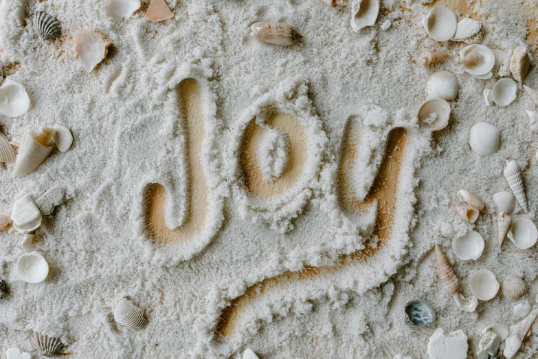 the word joy written in the sand on the beach, inspired by Joy Garnett, trending on unsplash, graffiti, covered in white flour, background image, ornament, portrait image