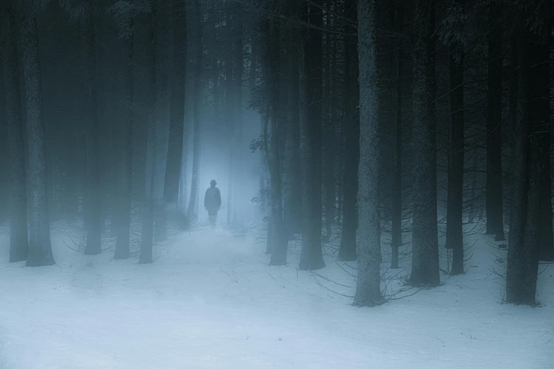 a person walking through a snow covered forest, by Adam Marczyński, pexels contest winner, conceptual art, eerie person silhouette, atmosphere of silent hill, cold blue light, horror image