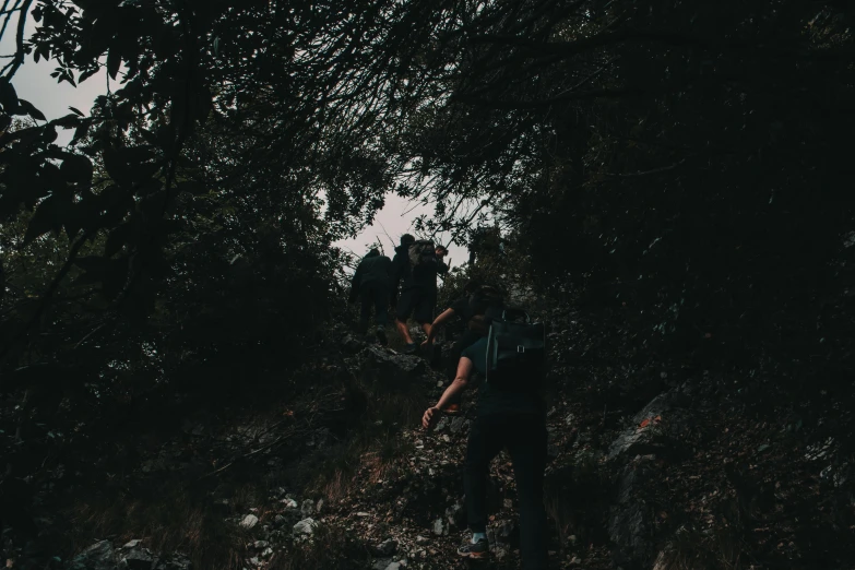 a group of people hiking up a steep hill, pexels contest winner, scary dark forest, bushes in the background, album, dark aesthetic