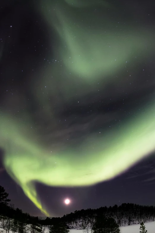 the aurora bore lights up the sky over a snowy landscape, by Terese Nielsen, dynamic closeup, fujifilm”, vivid, grey