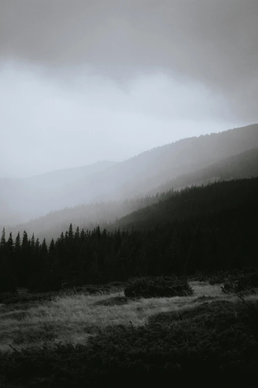 a black and white photo of a forest, unsplash contest winner, eerie moorlands behind her, gloomy colors, carpathian mountains, rain and haze