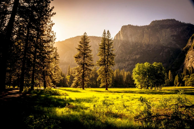 a grassy field with trees and mountains in the background, by Marshall Arisman, pexels contest winner, yosemite, warm golden backlit, greenery, post-processed