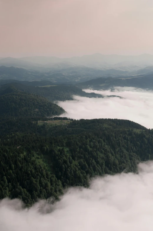 a group of people standing on top of a mountain, by Werner Gutzeit, pexels contest winner, renaissance, lush forest in valley below, above low layered clouds, black forest, view from helicopter